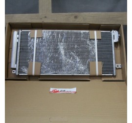 CONDENSATORE PUNTO-GRANDE...