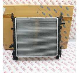 RADIATORE RAFFREDDAMENTO...