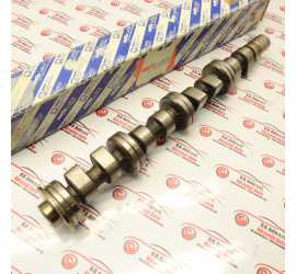 ALBERO DISTRIBUZIONE...