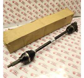 SEMIASSE POSTERIORE  DX...