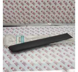 MODANATURA PORTA POST. DX...