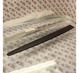 MODANATURA PORTA POST. DX...