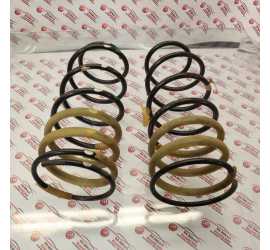 KIT MOLLE POST. LANCIA...