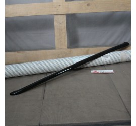 MODANATURA PORTA ANTERIORE...