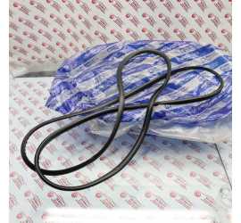 GUARNIZIONE LUNOTTO FIAT...