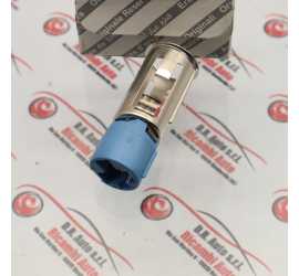 PRESA DI CORRENTE ALGIA...