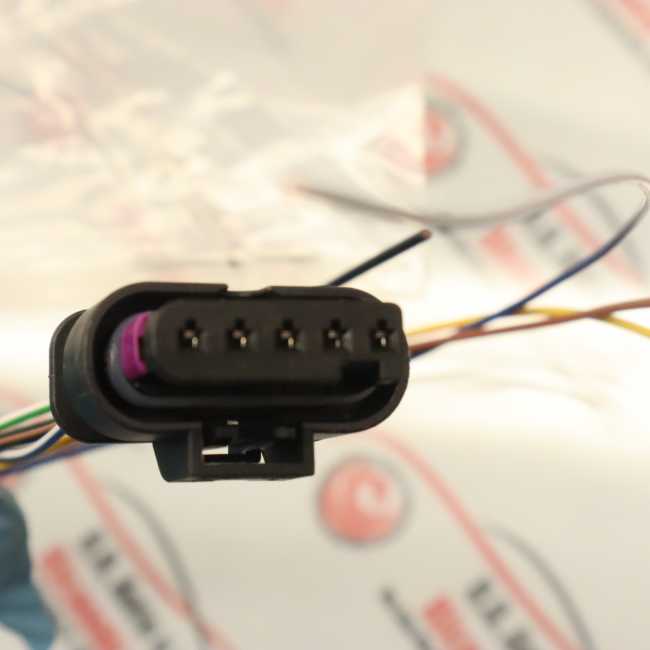 Cablaggio connettore bobina di accensione Dixhills, cablaggio di (W3Z
