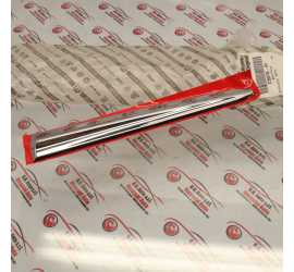 MODANATURA POST. DX LANCIA...