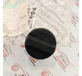 TAPPO INTRODUZIONE OLIO...