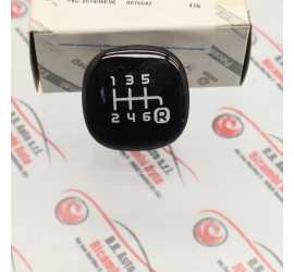 MOSTRINA POMELLO CAMBIO...