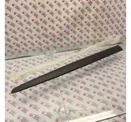 MODANATURA PORTA ANTERIORE...