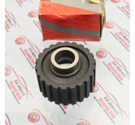 PULEGGIA CONDOTTA...