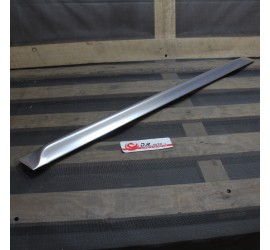 MODANATURA PORTA ANTERIORE...