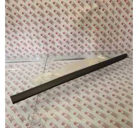 MODANATURA PORTA ANT. DX...