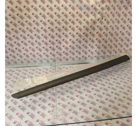 MODANATURA PORTA ANT. SX...