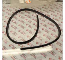 GUARNIZIONE VETRO PORTA...