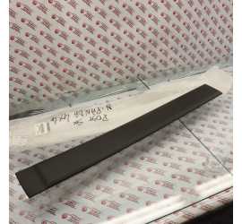 MODANATURA PORTA ANTERIORE...