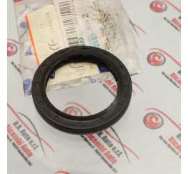 GUARNIZIONE PARAOLIO FORD...