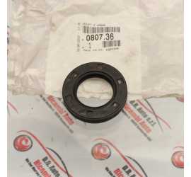 GUARNIZIONE PARAOLIO...