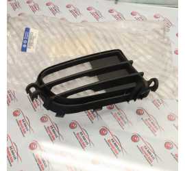 GRIGLIA DX PARAURTI ANT....