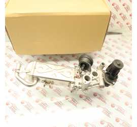 SCAMBIATORE VALVOLA EGR...