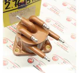 CALOTTA SPINTEROGENO...