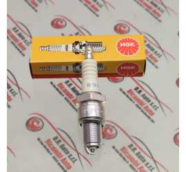 CANDELA ACCENSIONE ALFA...