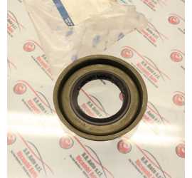 GUARNIZIONE PARAOLIO FORD...