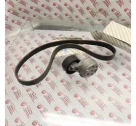 CINGHIA + TENDIGINGHIA...