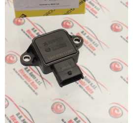 SENSORE CORPO FARFALLATO...