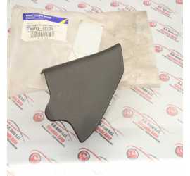 MOSTRINA INTERNA SINISTRA...