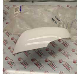 CALOTTA SPECCHIO SINISTRO...