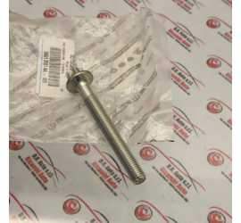 VITE ALTERNATORE ALFA...