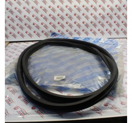 GURANIZIONE PORTA ANTERIORE...