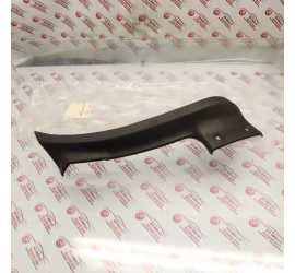 RIPARO PARASASSI POSTERIORE...