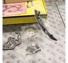 KIT DISTRIBUZIONE OPEL...