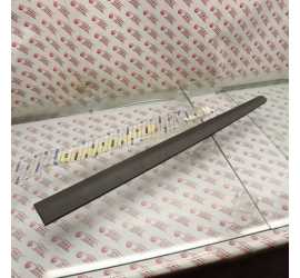 MODANATURA PORTA ANTERIORE...