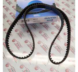 CINGHIA DISTRIBUZIONE...