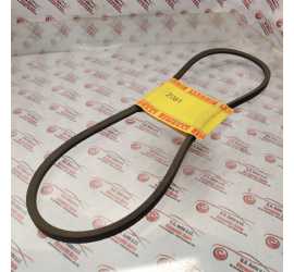 CINGHIA TRAPEZOIDALE COD....