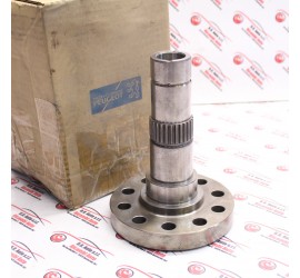 FUSELLO INGRANAGGIO...