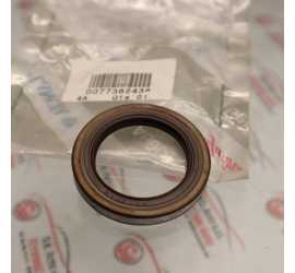 PARAOLIO CAMBIO AUTOMATICO...