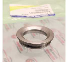 PARAPOLVERE TESTINA...