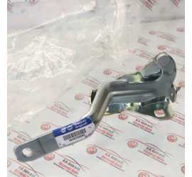 CERNIERA DESTRA COFANO...