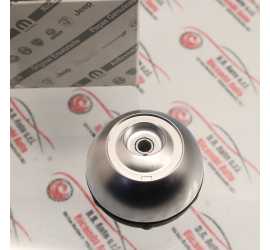 POMELLO IMPUGNATURA CAMBIO...