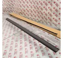 MODANATURA PORTA ANTERIORE...