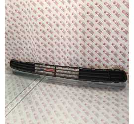 GRIGLIA PARAURTI ANTERIORE...