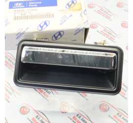 MANIGLIA PORTA POSTERIORE...