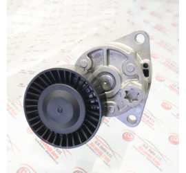 TENDICINGHIA DISTRIBUZIONE...