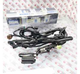CABLAGGIO ECM 22 PIN...
