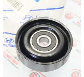 PULEGGIA TENDICINGHIA...